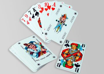 Ansicht auf das Kartenspiel mit aufgefächerten Karten..