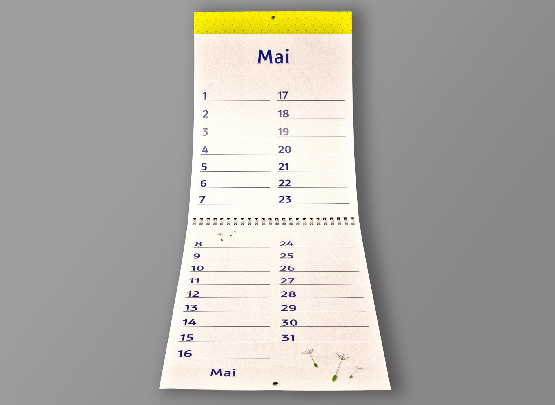 Anischt auf den langen Kalender, Monat Mai.