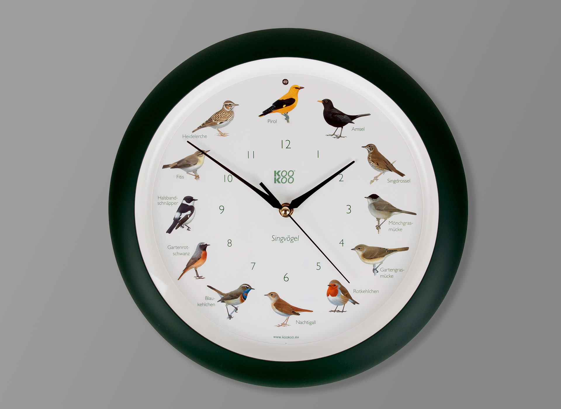 Ansicht auf die Wanduhr mit schwarzem Rand und Vogelbildern.